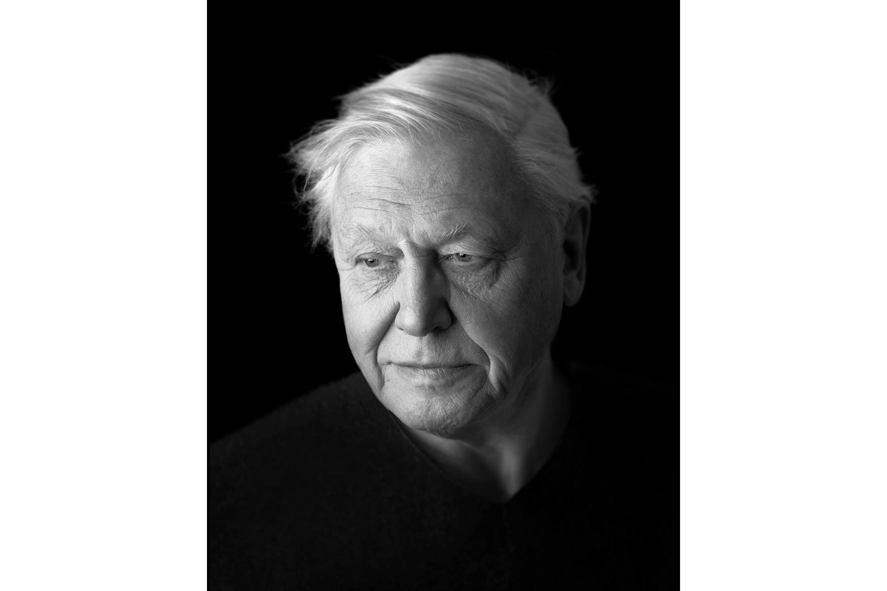 Portrait of Sir David Attenborough - Photograph by Richard Boll for the National Portrait Gallery in London
