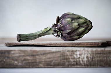 Photograph of an artichoke for a book project