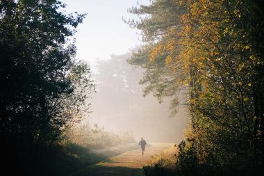 An advertising photograph of a runner in the woods