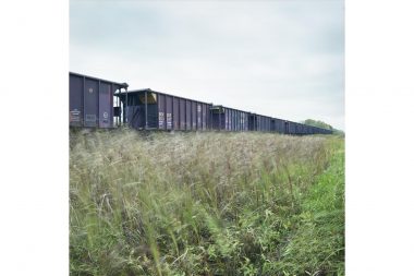 A long line of rolling stock in front of grass moving in the wind.
