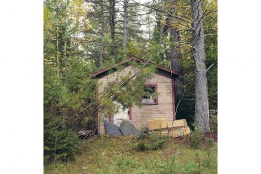 A small dilapidated hut in a forest.