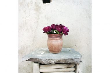 Roses in a clay pot on a stone table in Morocco