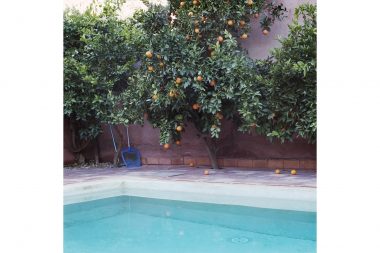 Orange trees next to a turquoise pool in Morocco
