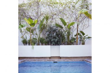 Banana plants and vines growing next to a pool in Marrakesh in Morocco