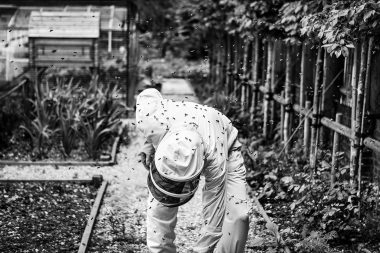 Portrait of my father a beekeeper on the isle of wight