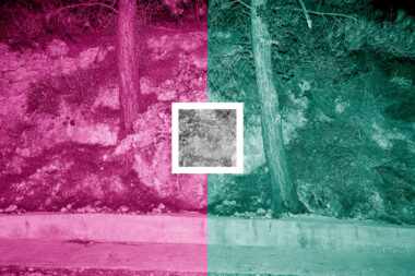 Digitally adjusted image of two trees by a road in Crete.