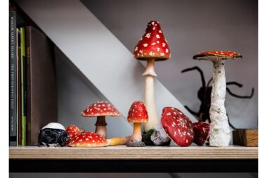 Models of mushrooms in the library of the artist.