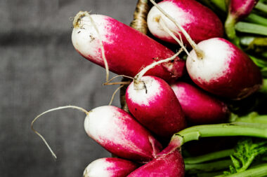 Nigel Slater Toast inspired image. Radishes photographed by Richard Boll for Wildfire Design Studio.