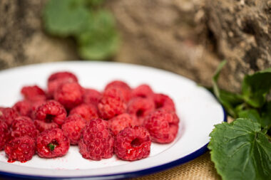 Raspberries on a white a blue plate photographed for Wildfire Design Studio. Nigel Slater Toast inspired image.