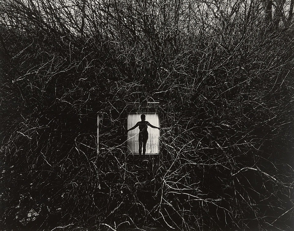 Eleanor, Chicago, 1951, Harry Callahan. 