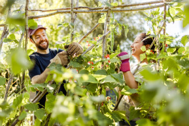 Friends laughing while gardening together on a sunny afternoon- authentic lifestyle photography.