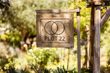 A rustic wooden sign reading Plot 22 in a community allotment in London-lifestyle photography shoot.